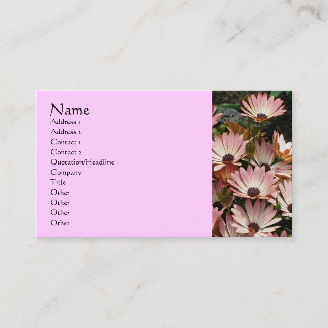 African Daisies Flower Fotografy Business Card Visitenkarte (Vorderseite)