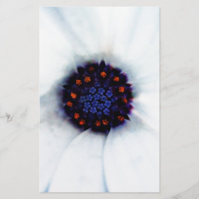 African Daisy Briefpapier (Vorderseite)