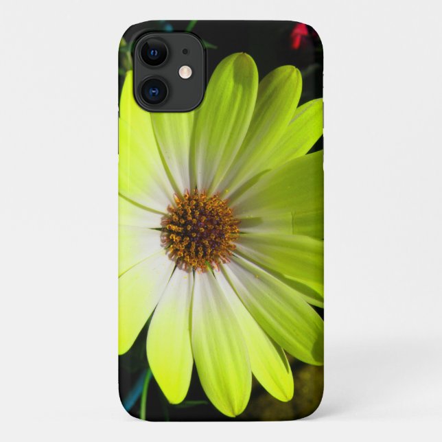 African Daisy Fluorescent Yellow iPhone 3 Fall Case-Mate iPhone Hülle (Rückseite)