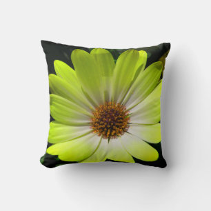 African Daisy Fluorescent Yellow Pillow Kissen