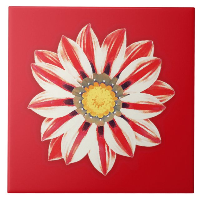African Daisy / Gazania - Rot und Weiß gestreift Fliese (Vorderseite)