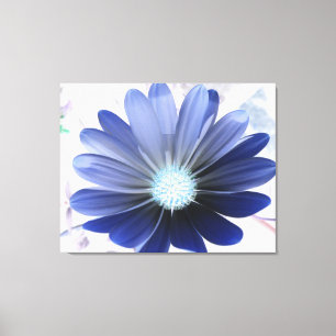 African Daisy Glows Blue Canvas Print Leinwanddruck