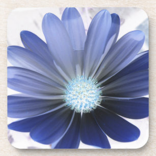 African Daisy Glows Blue Cork Untersetzer