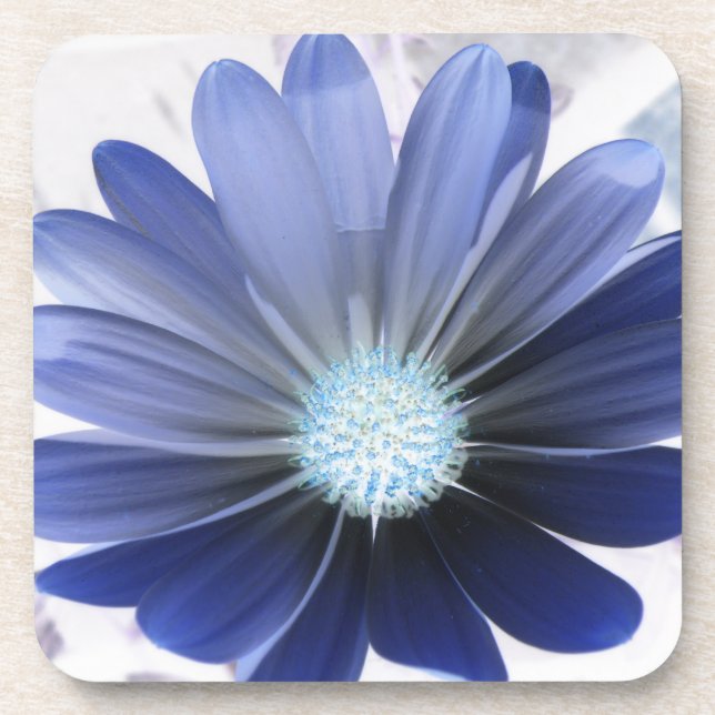 African Daisy Glows Blue Cork Untersetzer (Vorderseite)