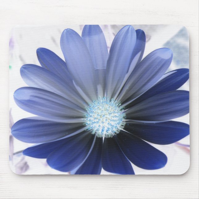 African Daisy Glows Blue Mousepad (Vorne)