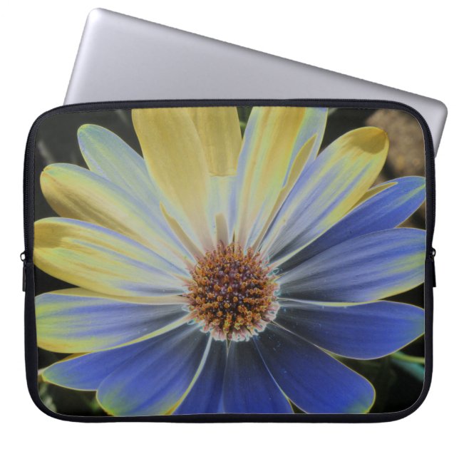 African Daisy Lapis und Gold Laptop Bag Laptopschutzhülle (Vorderseite)