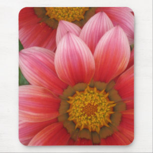 African Daisy Mousepad