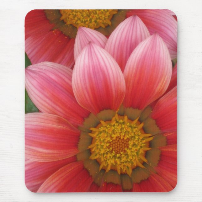 African Daisy Mousepad (Vorne)