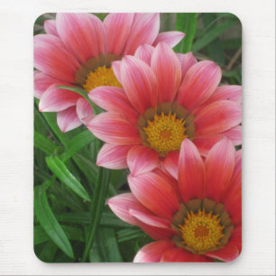 African Daisy Mousepad