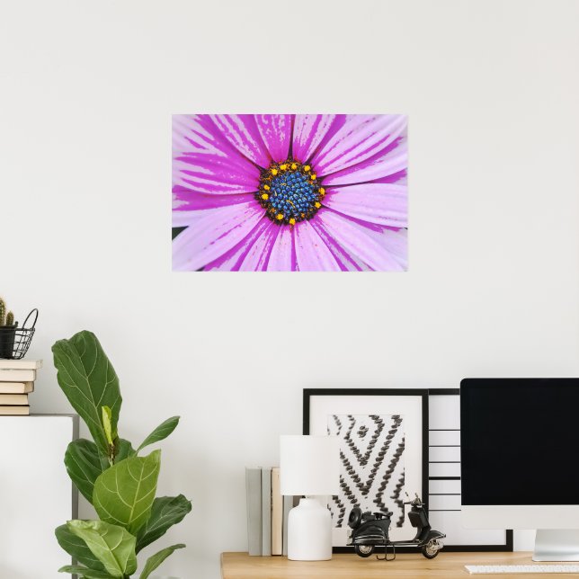 African Daisy Nah Up Poster Art (Heimbüro)