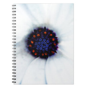 African Daisy Notizblock