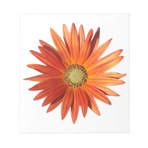 African Daisy Notizblock
