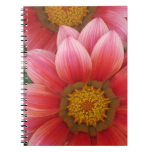 African Daisy Notizblock