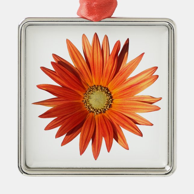 African Daisy Ornament Aus Metall (Vorne)