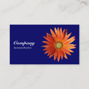 African Daisy - Tiefe Marine Visitenkarte