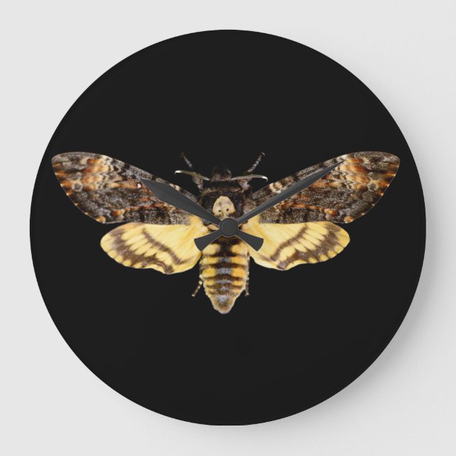 african death head moth butterfly insect Acheronti Große Wanduhr (Vorderseite)