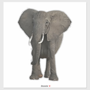 African Elephant Jungle Safari Animal Wildlife Art Aufkleber