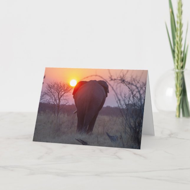 African Elephant Sunset Karte (Vorderseite)
