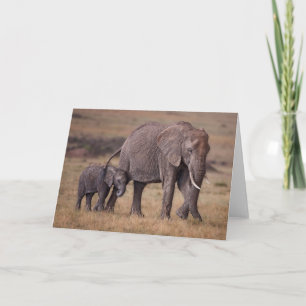 African Elephant with Baby Karte