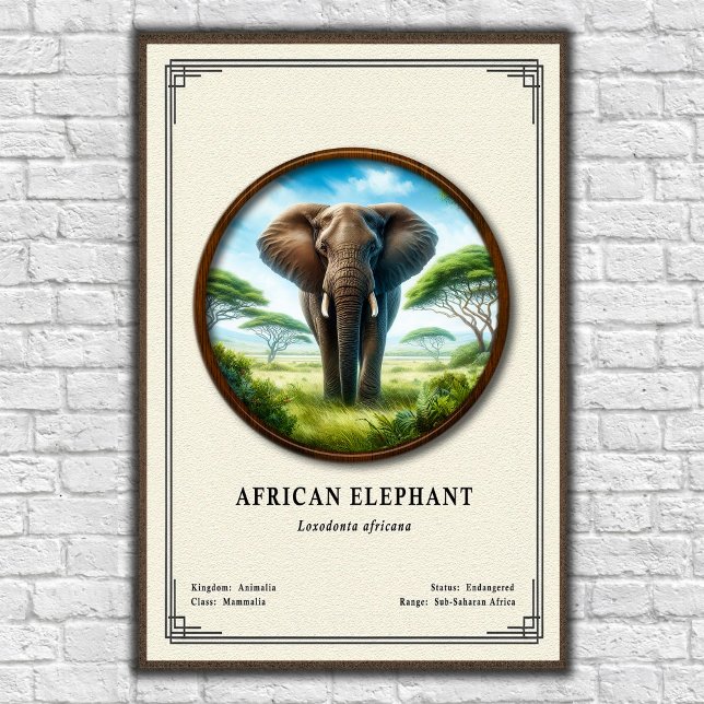 African Elephant Zoology Series Poster (Von Creator hochgeladen)