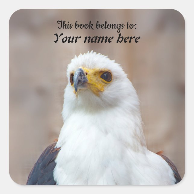 African Fish Eagle Sticker (Devant)