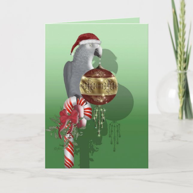 African Gray Christmas Feiertagskarte (Vorderseite)