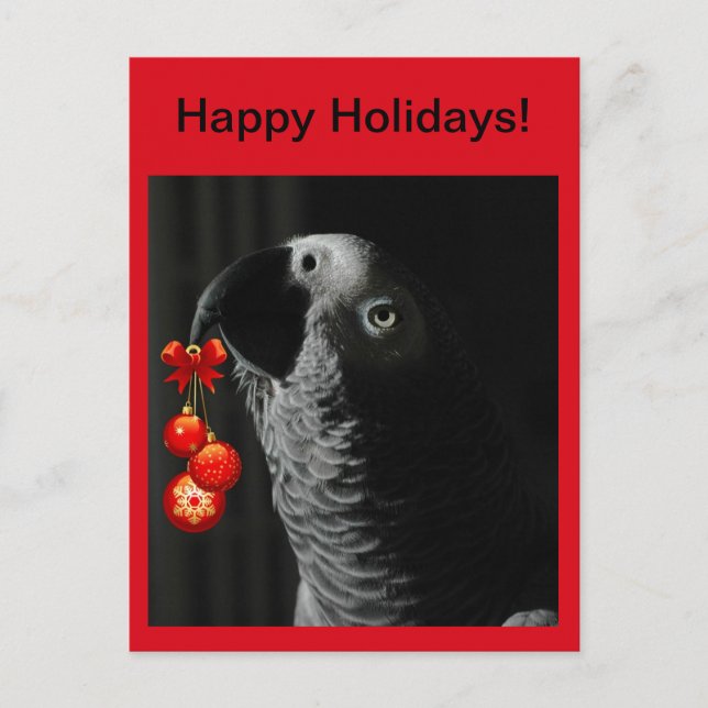African Gray Happy Holidays Weihnachten Postcard (Vorderseite)