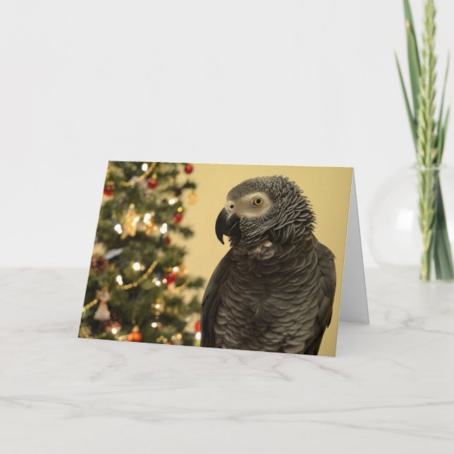 African Gray Parrot Christmas Card Feiertagskarte (Vorderseite)