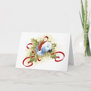 African Gray Parrot Christmas Cards Feiertagskarte