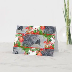 African Gray Parrot Christmas Karte