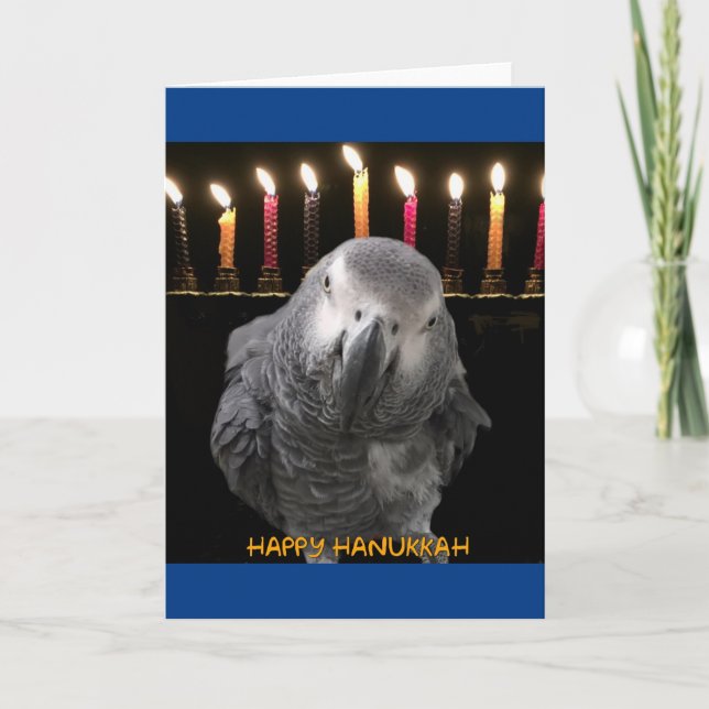 African Gray Parrot Hanukkah Cards Feiertagskarte (Vorderseite)