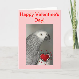 African Gray Parrot Happy Valentine's Day Card Feiertagskarte