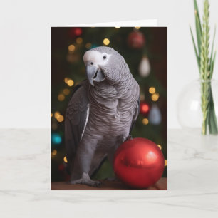 African Gray Parrot Holiday Cards Karte