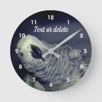 African Gray Parrot Niedlich Bird Personalisiert