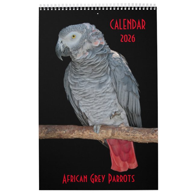 African Gray Parrots Calendar Kalender (Titelbild)