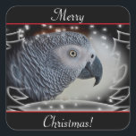 African Gray Snowy Christmas Quadratischer Aufkleber<br><div class="desc">Nah von einem atemberaubenden Afrikanischen Grau Papagei Profil vor einem Schwarz-Weiß-Winterwunderland von Schnee mit Kiefern und Tannen Hintergrund. Perfekte Weihnachtsgrüße für den Tier- und Vogelliebhaber in Ihnen!</div>