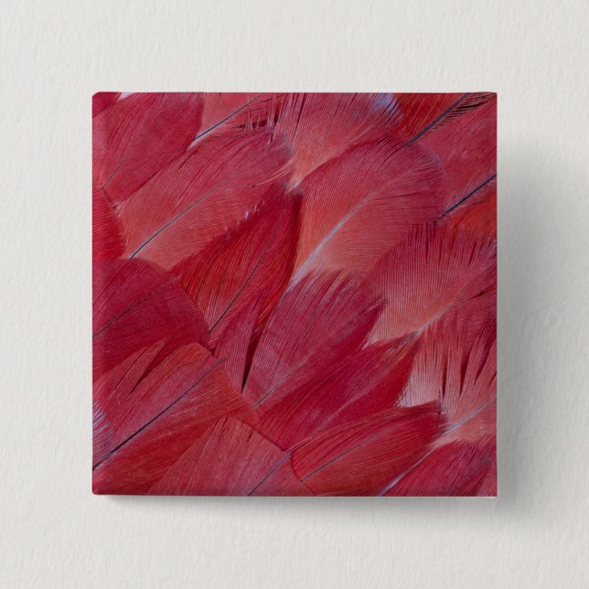 African Grey Parrot Feather Design Button (Vorderseite)