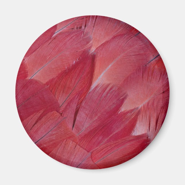 African Grey Parrot Feather Design Magnet (Vorne)
