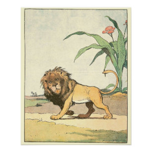 African Lion Children's Storybook Perfect Poster