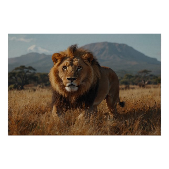 African Lion & Kilimanjaro Poster (Vorderseite)