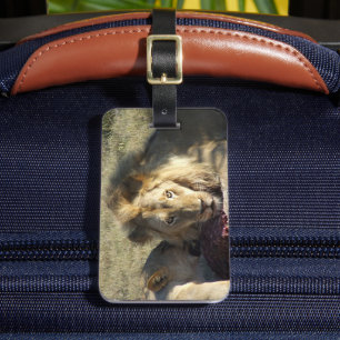 African Lion Stare Gepäckanhänger