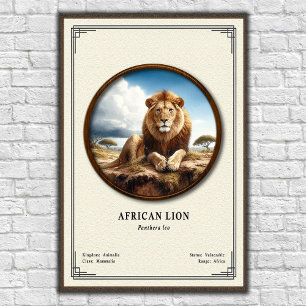 African Lion Zoologie-Serie Poster