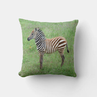 African Ngorongoro Baby Zebra Kissen