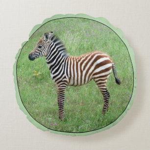 African Ngorongoro Baby Zebra Rundes Kissen