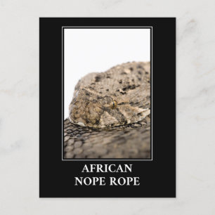 African Nope Rope - Puff adder Snake Danger Postkarte
