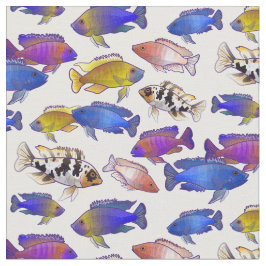 African Peacock Cichlid Fisch auf transparente Wei Stoff