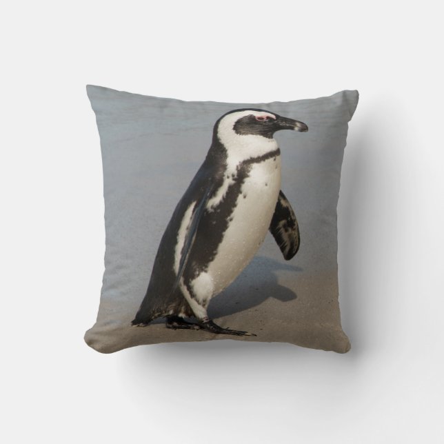 African Penguin Walking Kissen (Vorderseite)