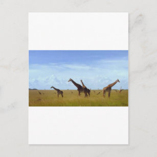 African Safari Giraffes Postkarte