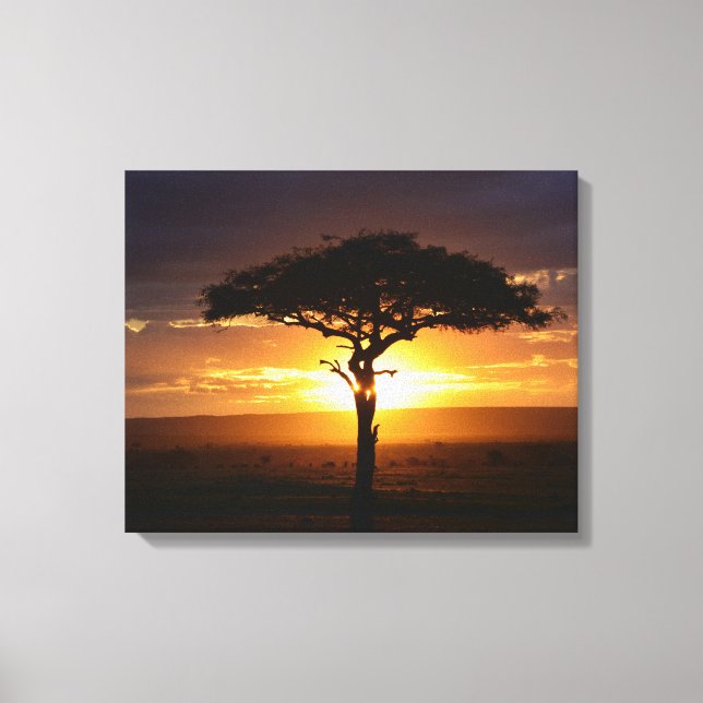 African Safari Sunset Stretched Canvas Print Leinwanddruck (Vorderseite)