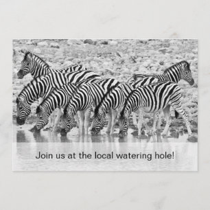 African Safari Zebra Drôle Anniversaire Invitation